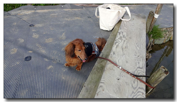 20130925065630.JPG