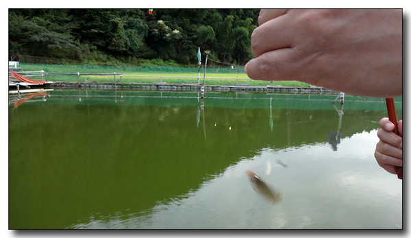 20130925065700.JPG