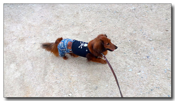 20130925070423.JPG