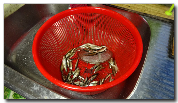 20130925070427.JPG