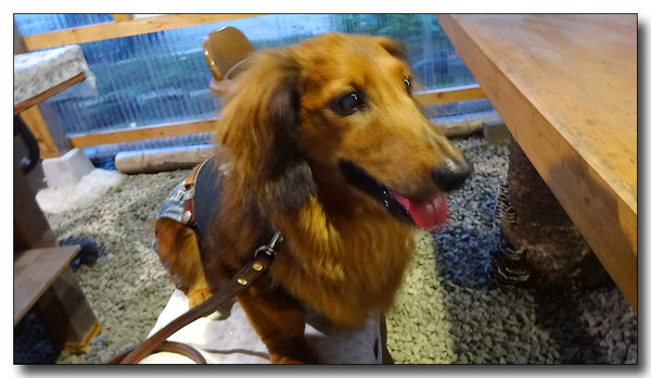 20130925070445.JPG