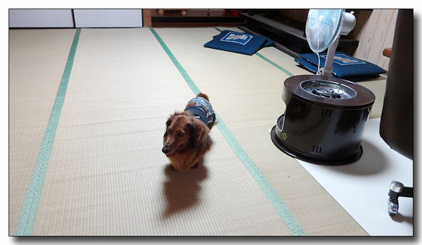 20130925070737.JPG