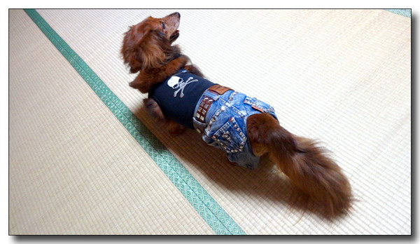 20130925070740.JPG