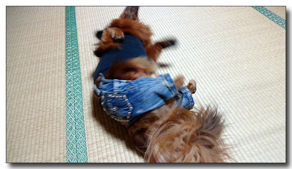 20130925070751.JPG