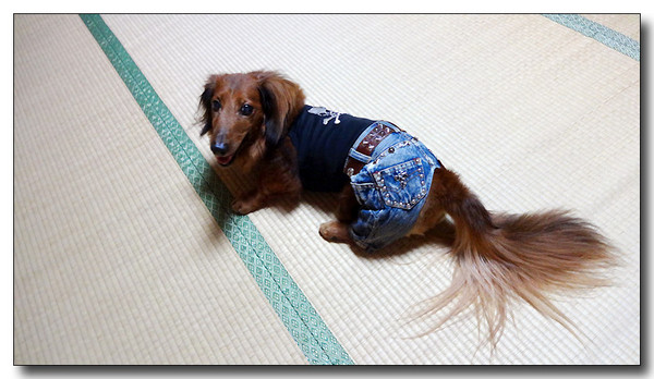 20130925070753.JPG