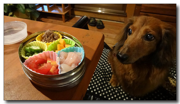 20130925072100.JPG