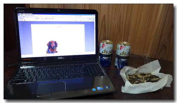 20130925080113.JPG