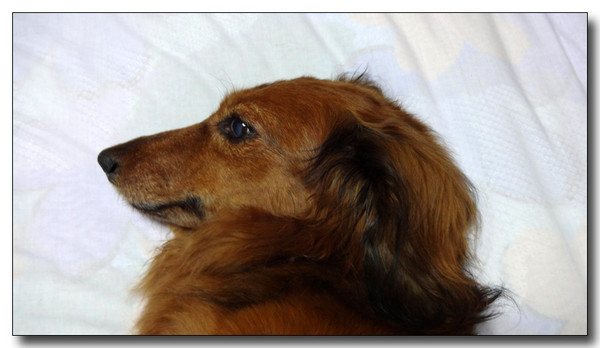 20130925080115.JPG