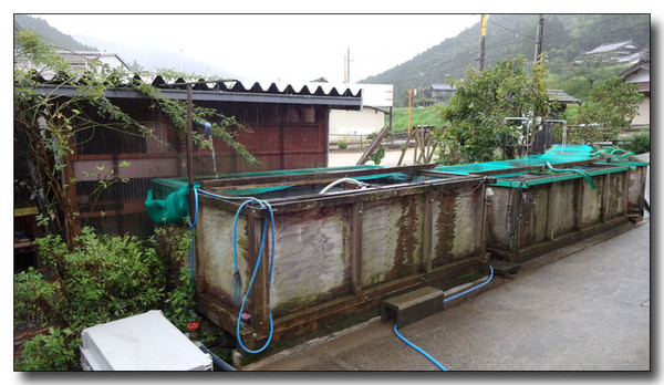 20130925080742.JPG