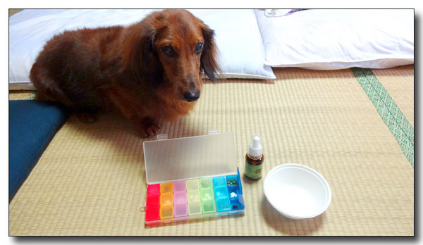 20130925080745.JPG