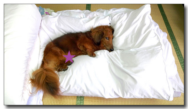 20130925080807.JPG