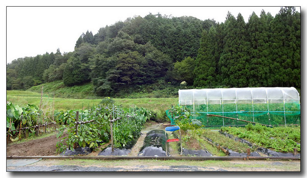 20130925080823.JPG
