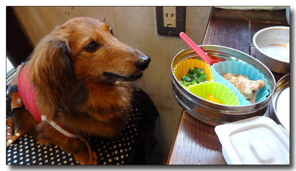 20130929084515.JPG