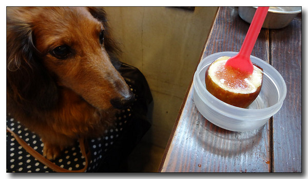 20130929084535.JPG