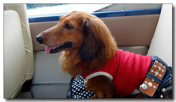 20130929090508.JPG