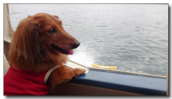 20130929090556.JPG