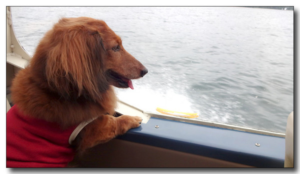 20130929090557.JPG