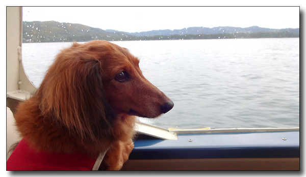 20130929090559.JPG