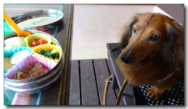 20130929164800.JPG