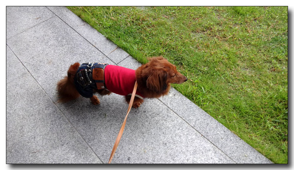 20130929164818.JPG