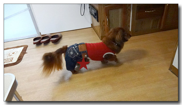 20130929170918.JPG