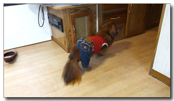 20130929170919.JPG