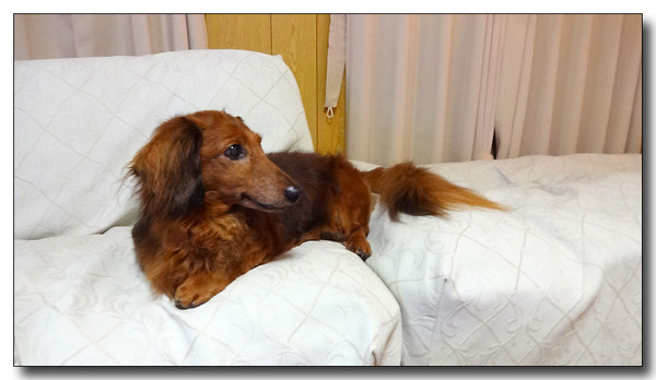 20130929223327.JPG