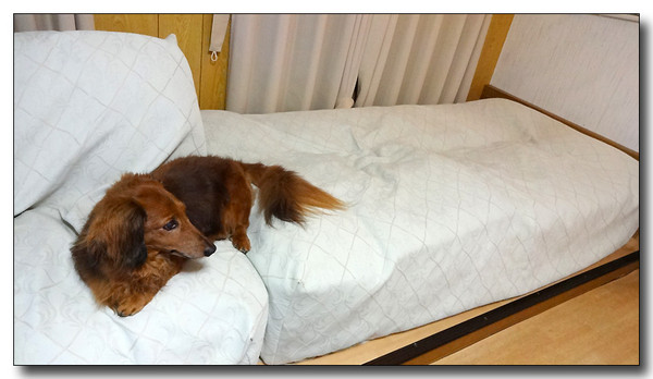20130929223328.JPG