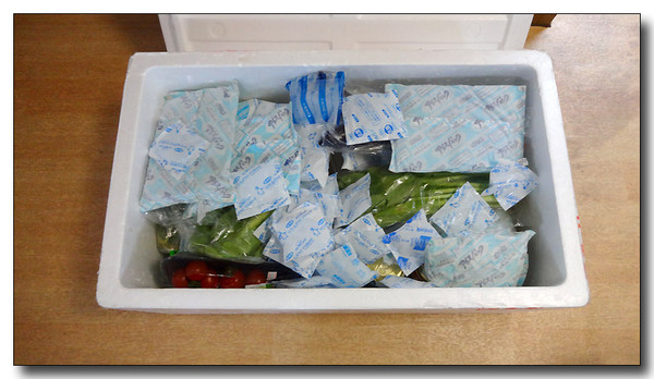 20130929224643.JPG