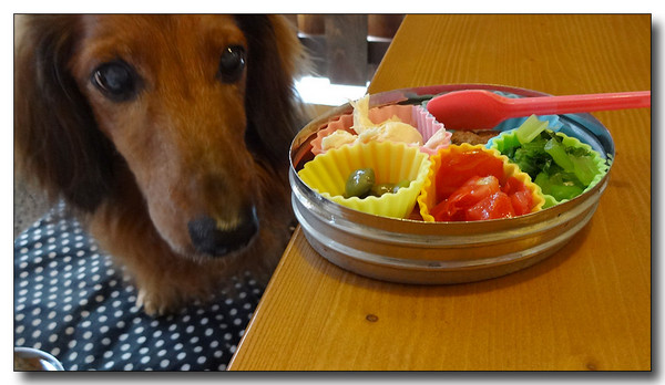 20130929233037.JPG