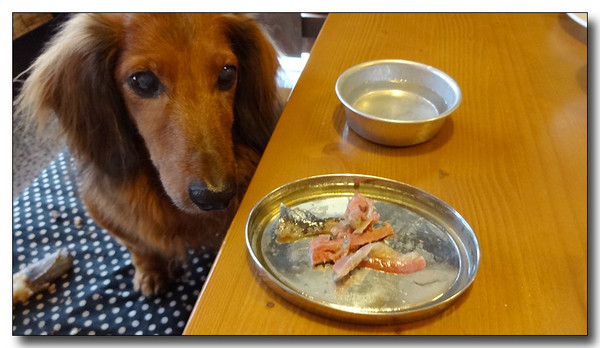 20130929233104.JPG