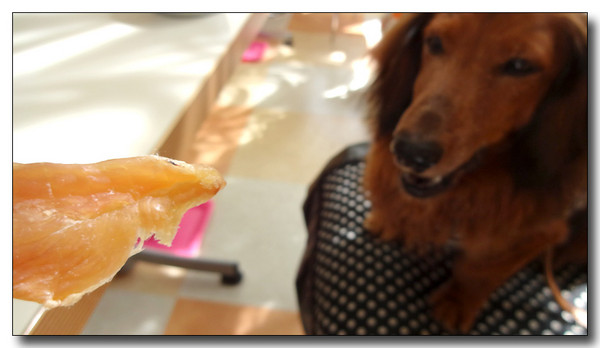 20130930165342.JPG