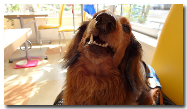 20130930165343.JPG
