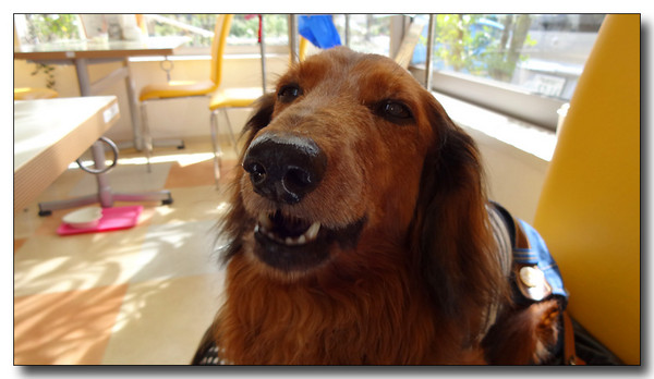20130930165344.JPG
