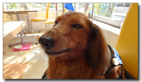 20130930165345.JPG
