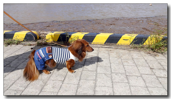 20130930175354.JPG
