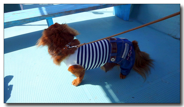 20130930175418.JPG