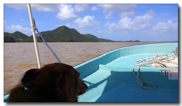 20130930175419.JPG