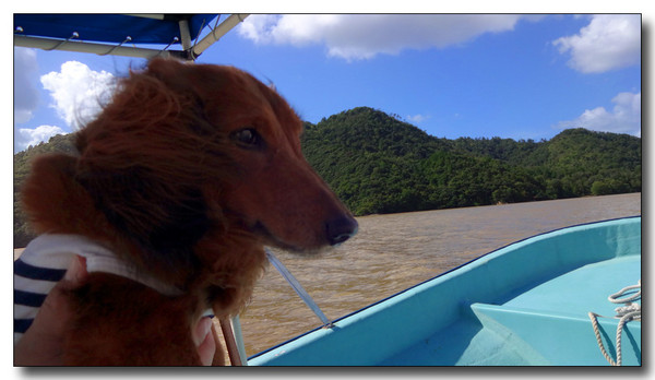 20130930175450.JPG