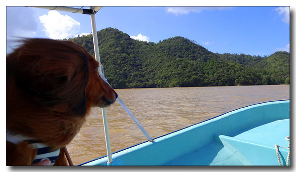 20130930175451.JPG