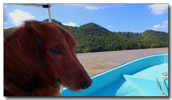20130930175452.JPG