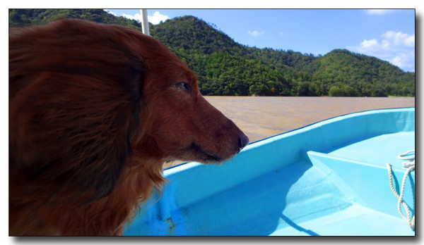 20130930175453.JPG