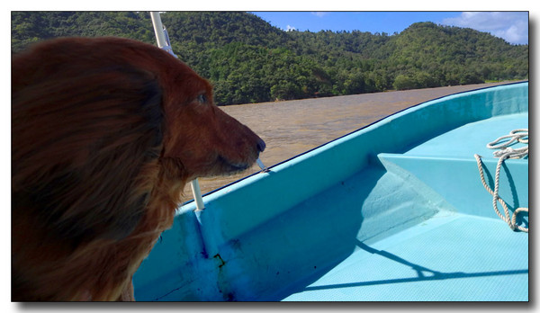 20130930175454.JPG