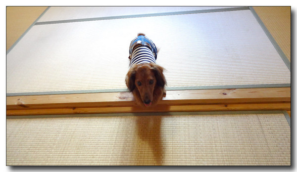 20131001051856.JPG