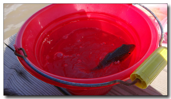 20131002082859.JPG