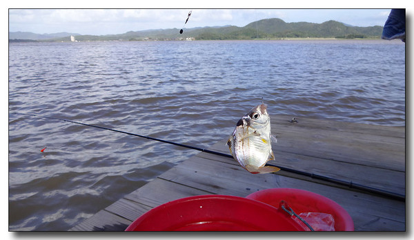 20131002082936.JPG