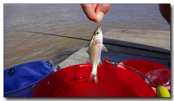 20131002082958.JPG