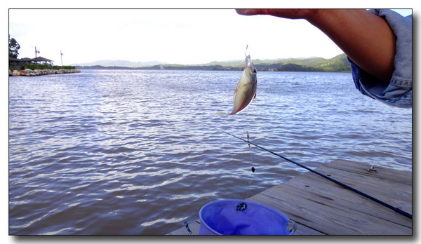 20131002083002.JPG