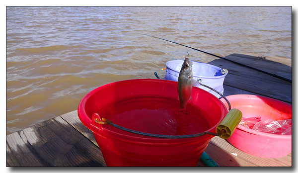 20131002084557.JPG