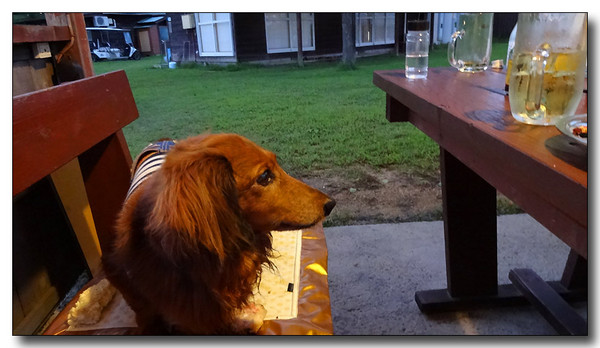 20131002135016.JPG